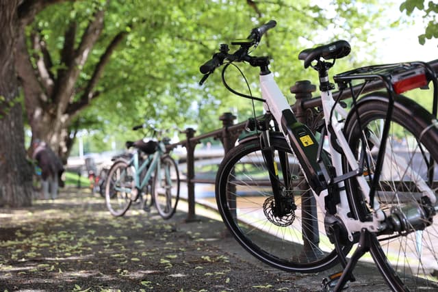 Bike Rack (Landscape)